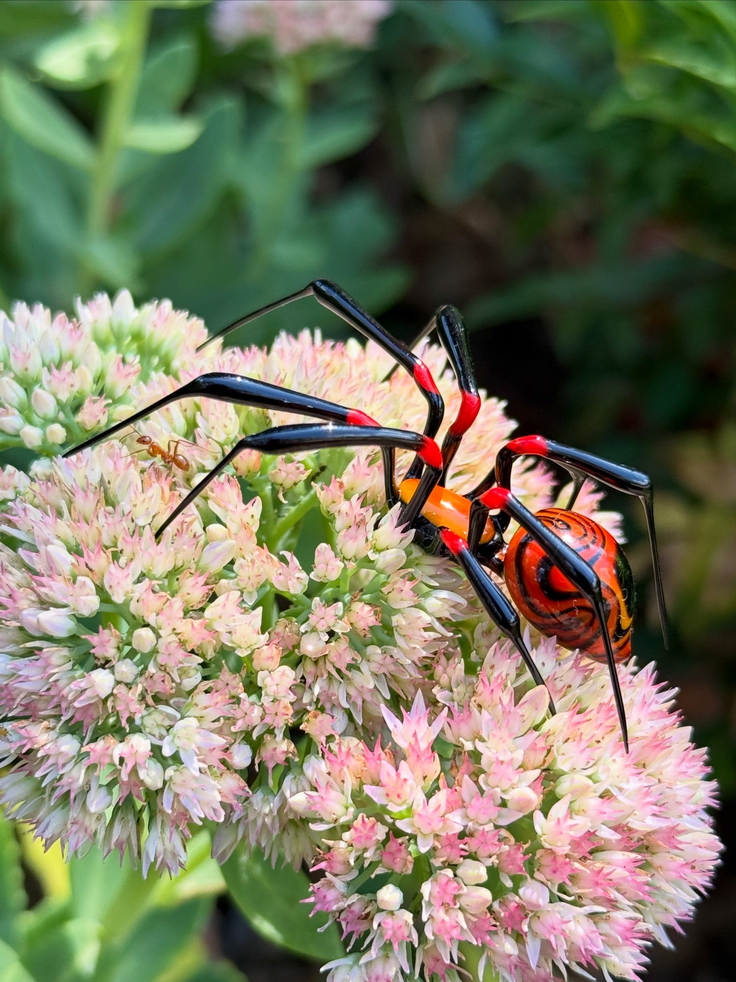 Glass Spider by Wesley Fleming