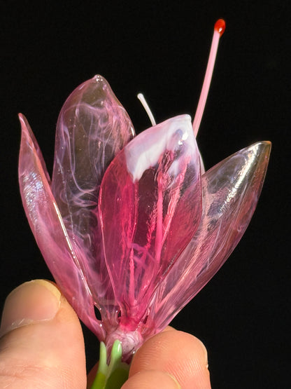Glass Azalea Flower by Wesley Fleming