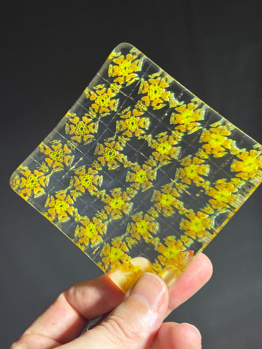 Murrine Plate by Xander D’Ambrosio