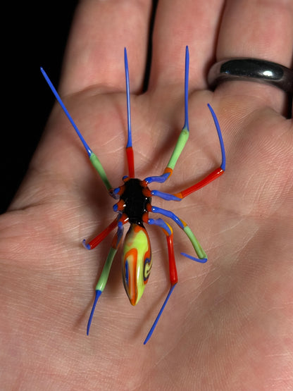 Glass Spider by Wesley Fleming