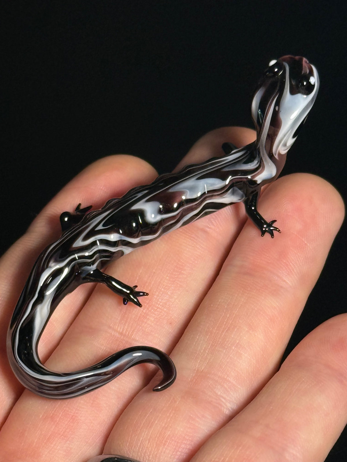 Glass Salamander by Wesley Fleming