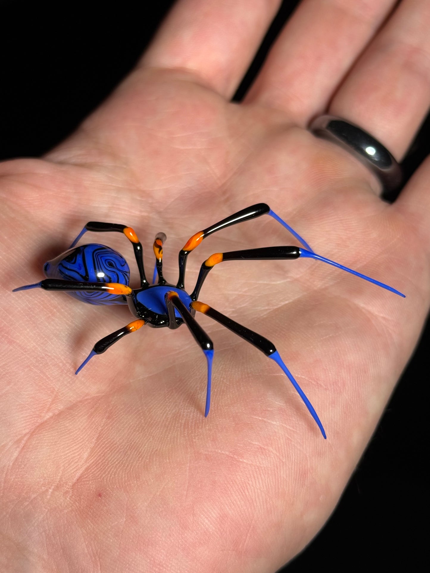 Glass Spider by Wesley Fleming
