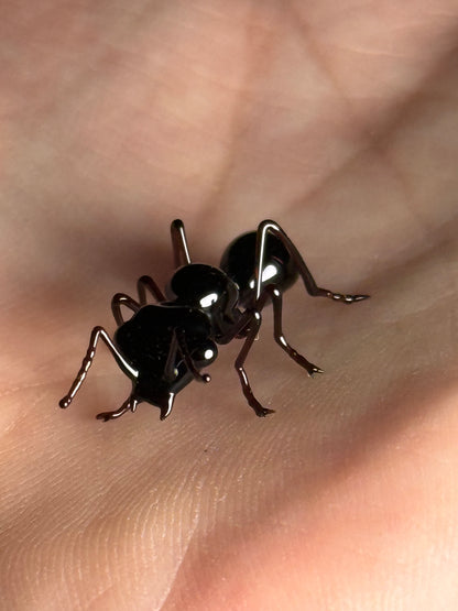 Glass Ant by Wesley Fleming