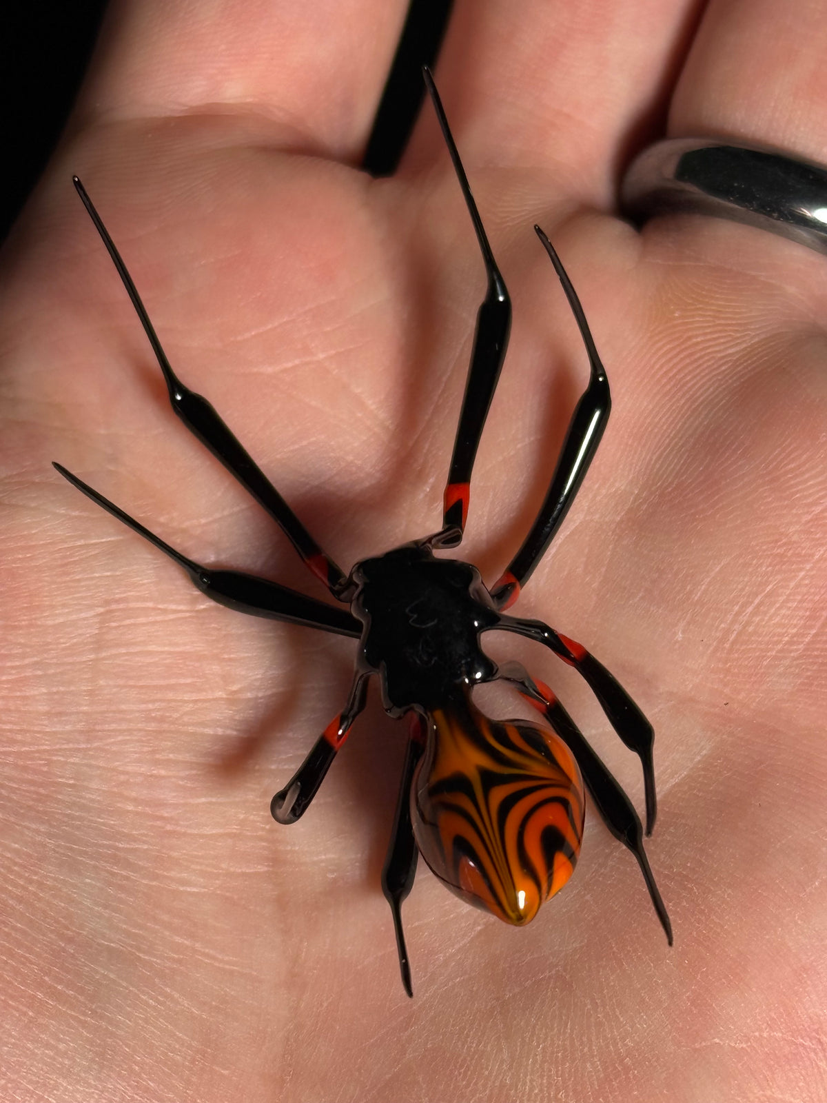 Glass Spider by Wesley Fleming