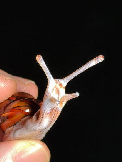 Glass Snail by Wesley Fleming
