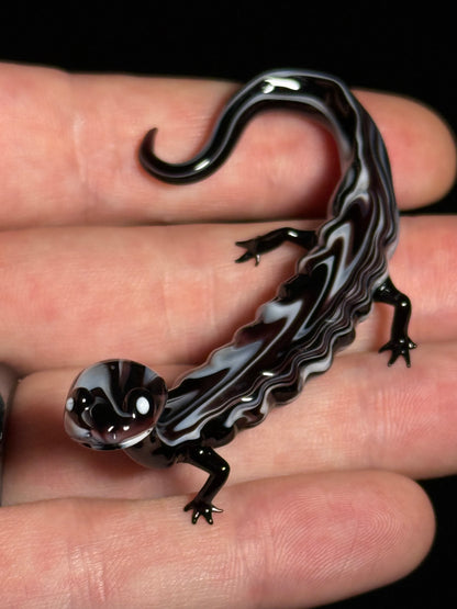 Glass Salamander by Wesley Fleming