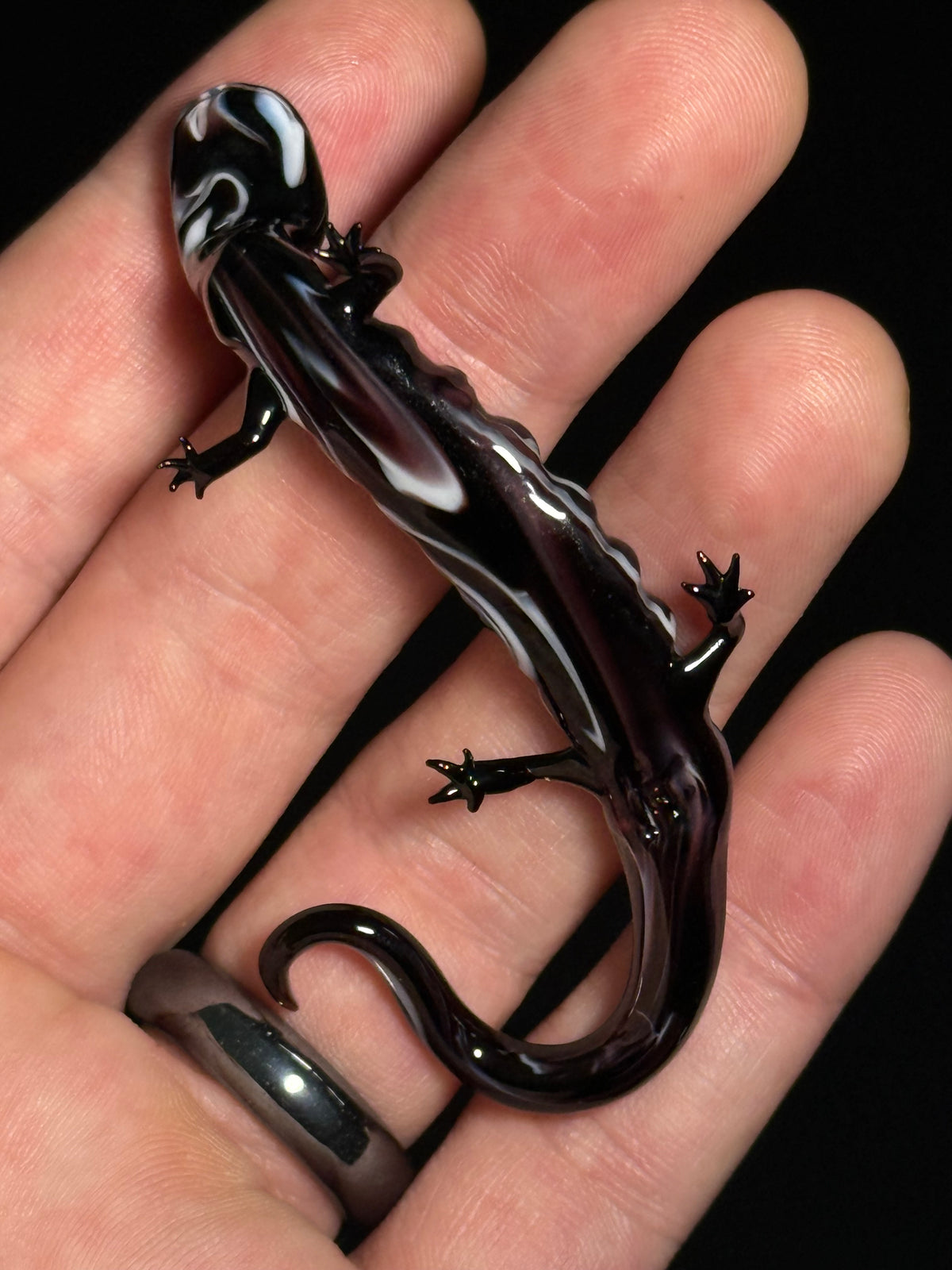 Glass Salamander by Wesley Fleming
