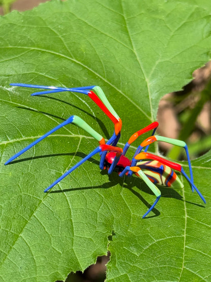 Glass Spider by Wesley Fleming