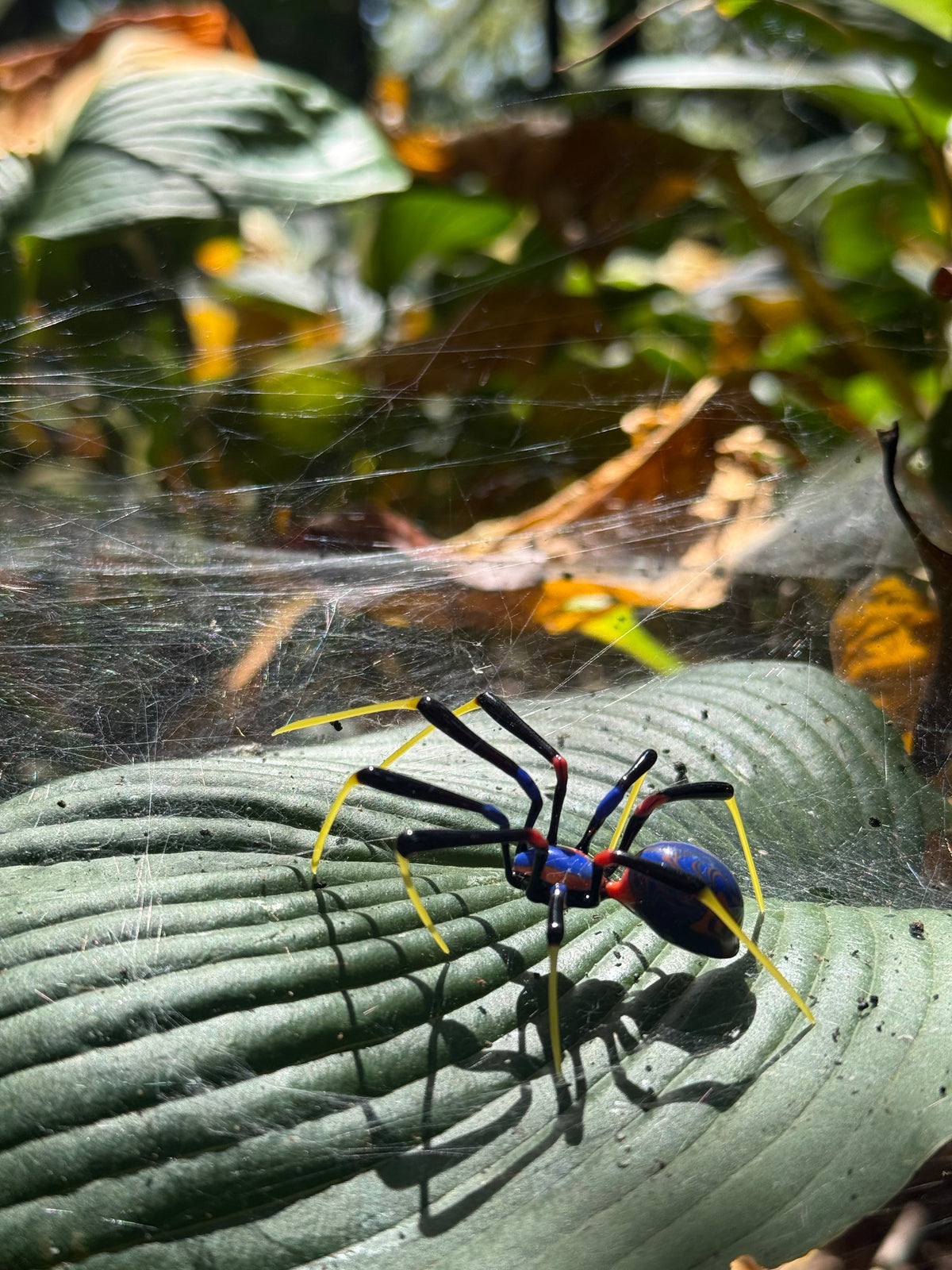 Glass Spider by Wesley Fleming