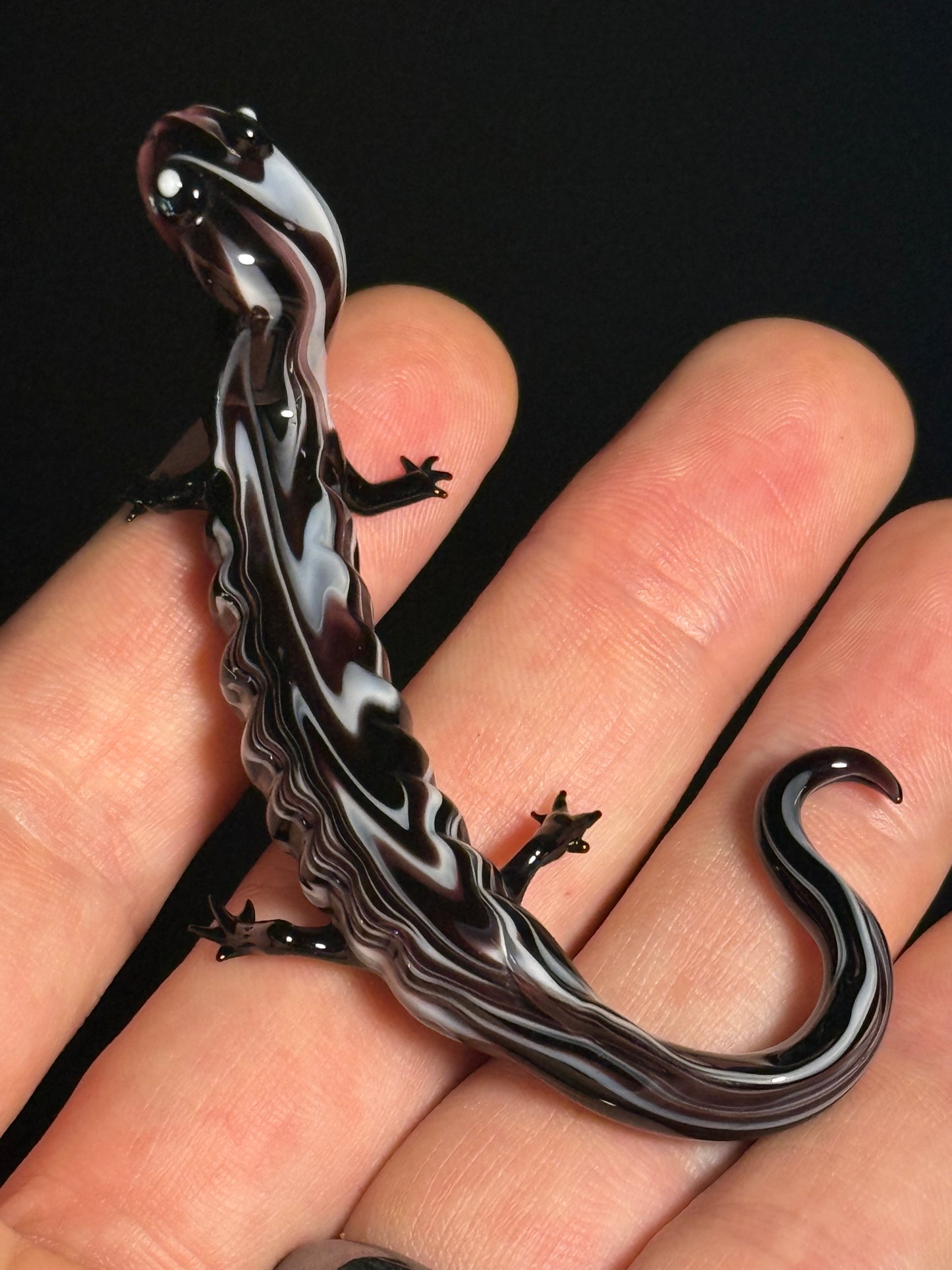 Glass Salamander by Wesley Fleming