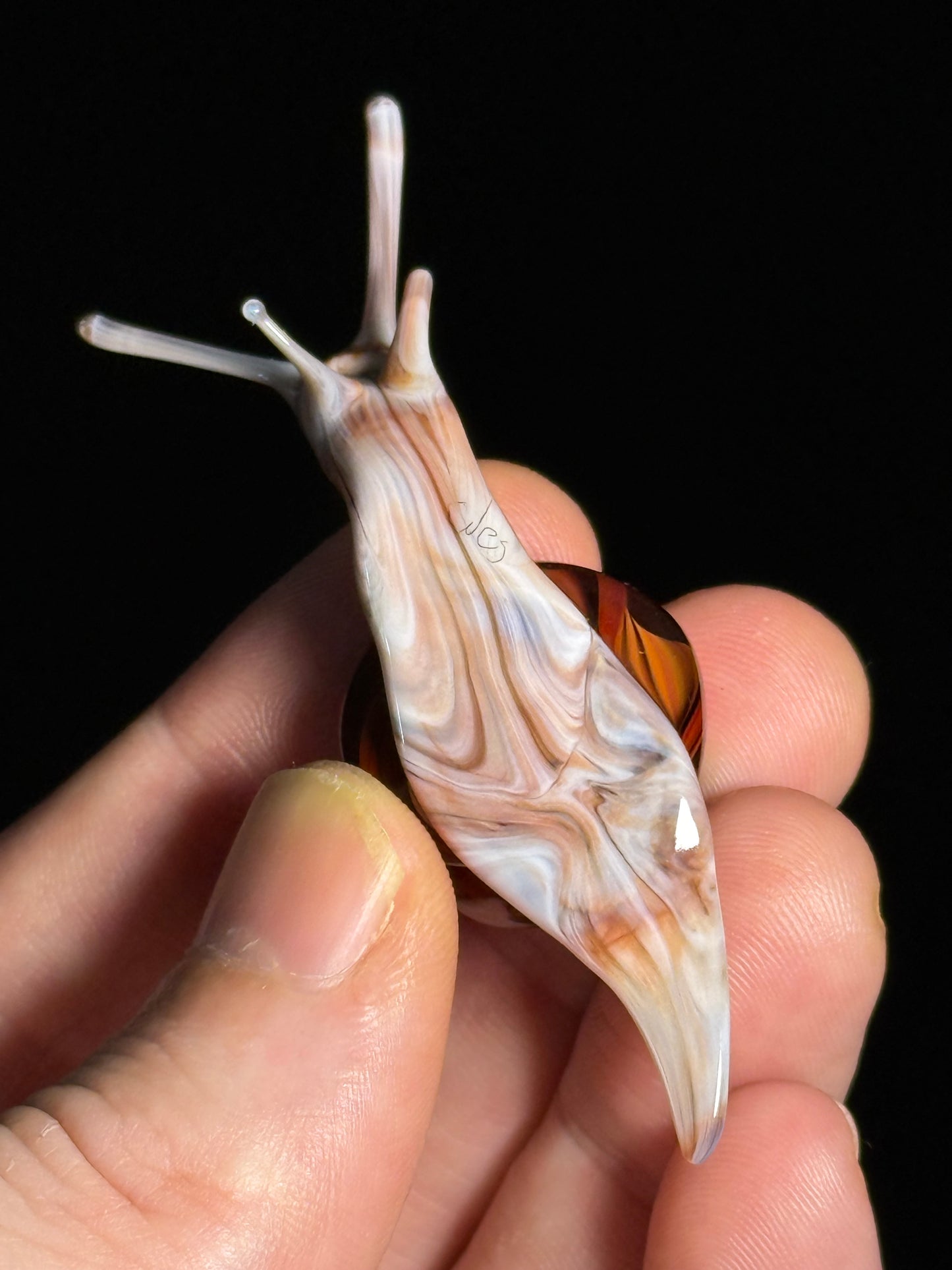 Glass Snail by Wesley Fleming