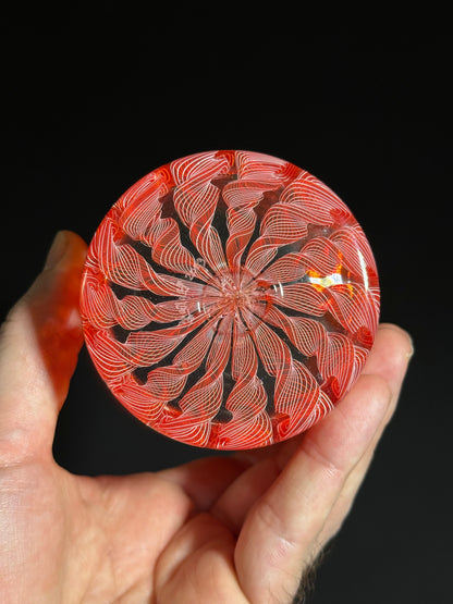 Cane Rocks Glass by Xander D’Ambrosio