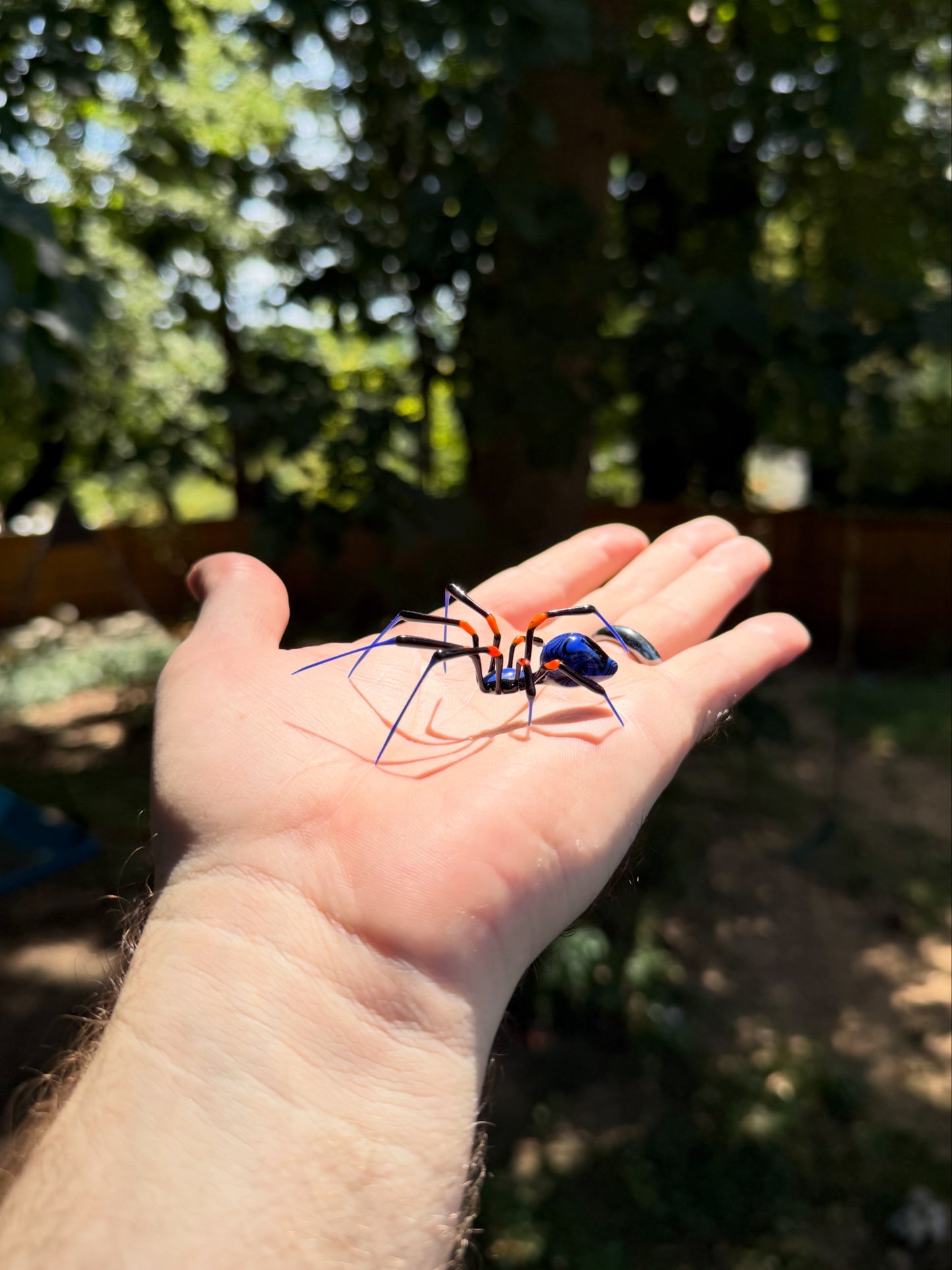 Glass Spider by Wesley Fleming
