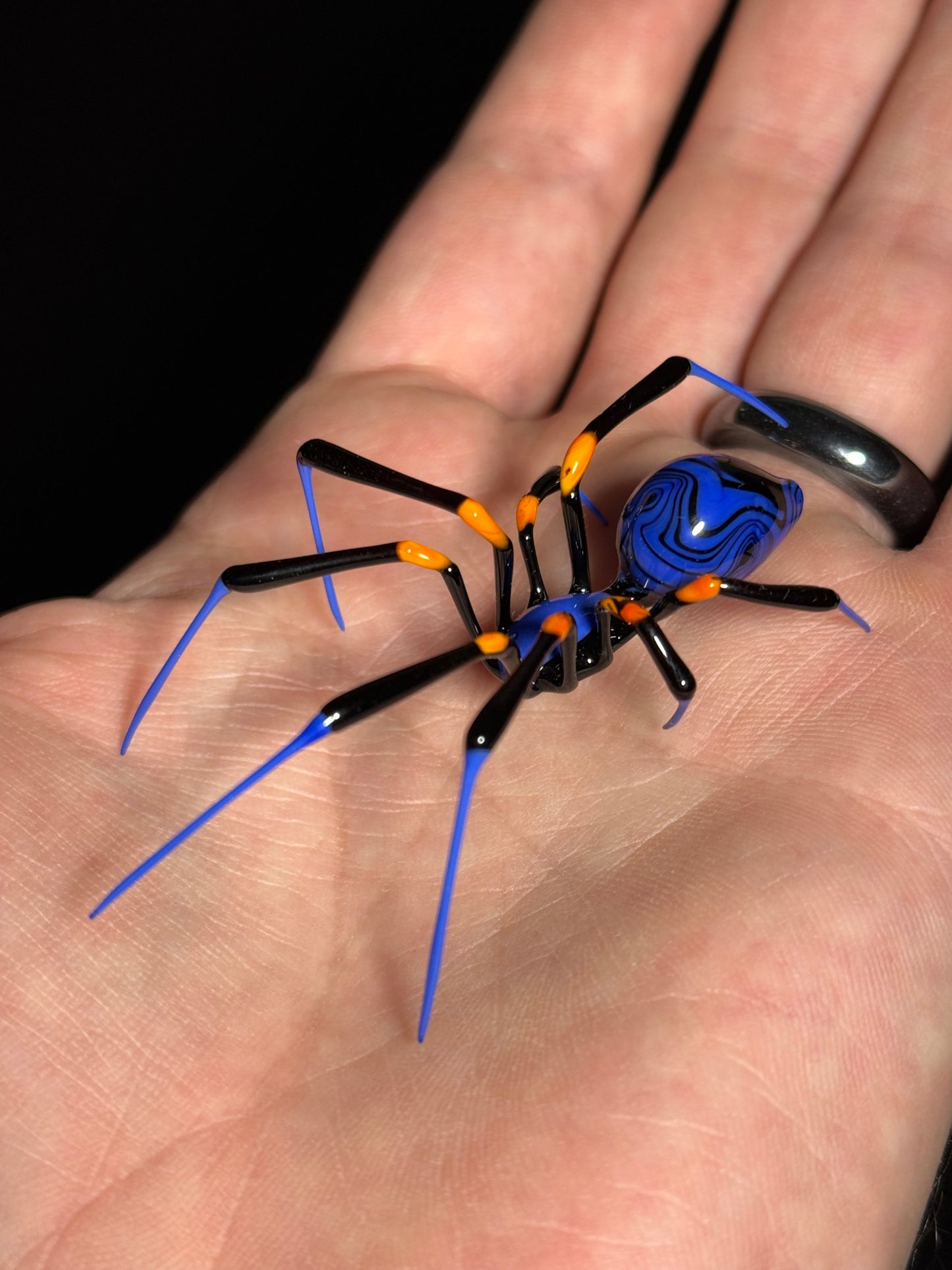 Glass Spider by Wesley Fleming